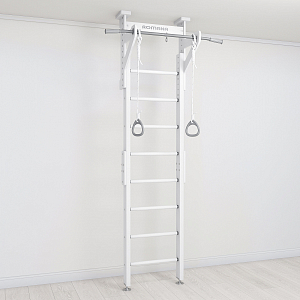 Детский спортивный комплекс Карусель Romana Eco1.1