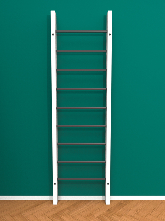 картинка Брашированная шведская стенка "Кастерли" White (Черные ступени) от магазина Лазалка