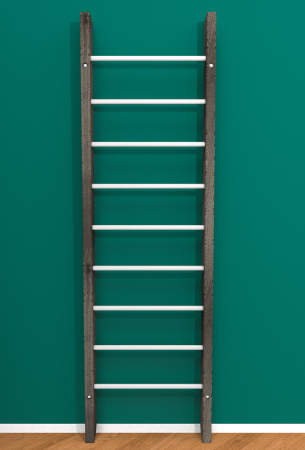 картинка Брашированная шведская стенка "Кастерли" Черный (Белые ступени) от магазина Лазалка