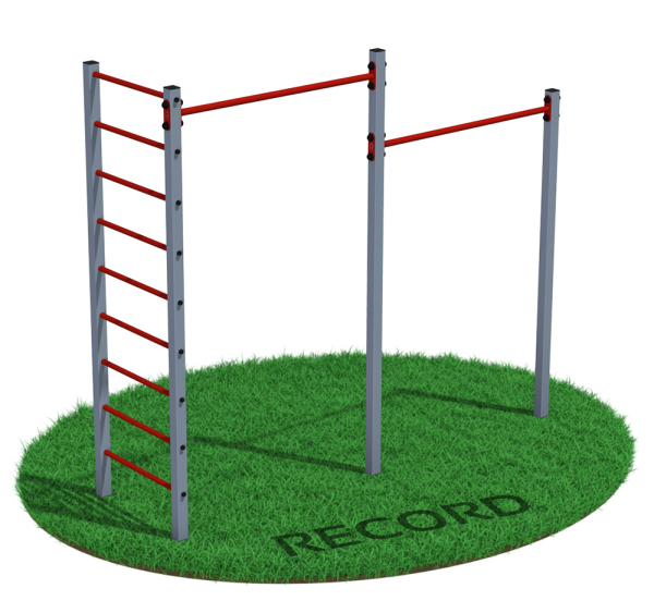 Уличный турник двойной + шведская стенка Record RW-2 профиль 60х60 х 2 мм